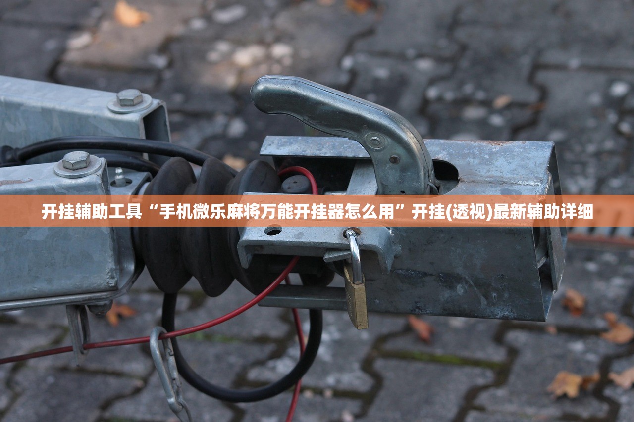 开挂辅助工具“手机微乐麻将万能开挂器怎么用”开挂(透视)最新辅助详细