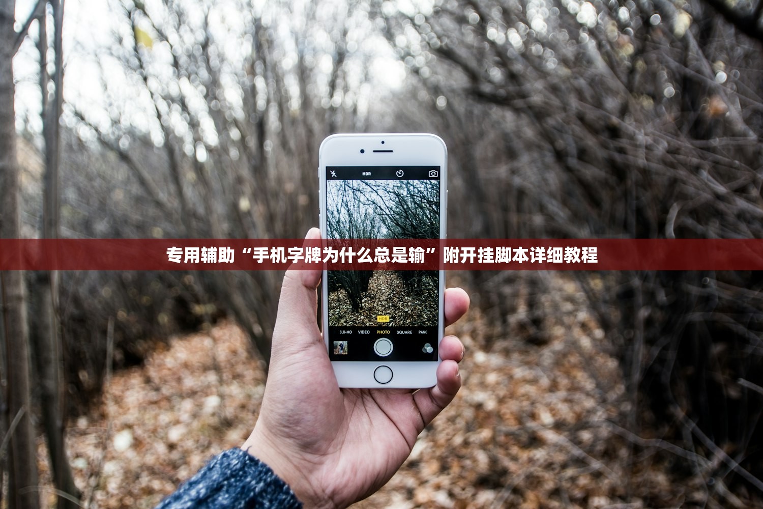 专用辅助“手机字牌为什么总是输”附开挂脚本详细教程