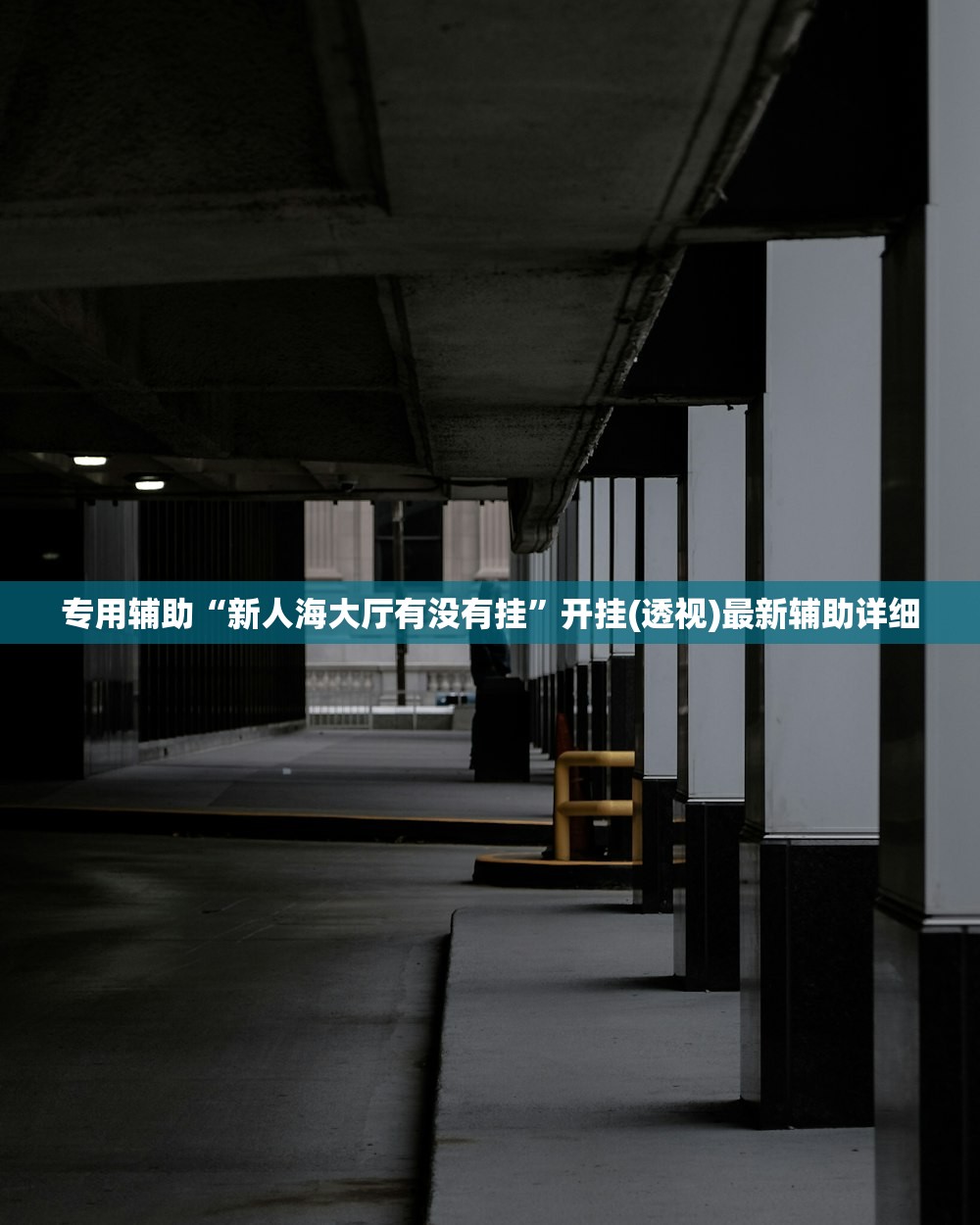 专用辅助“新人海大厅有没有挂”开挂(透视)最新辅助详细