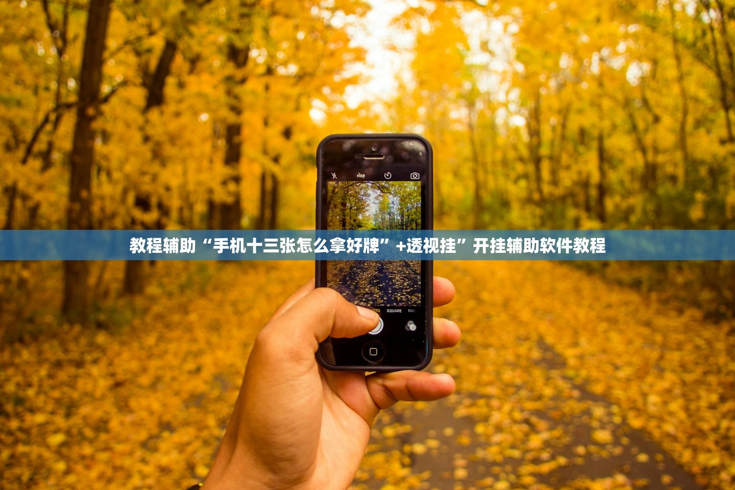 教程辅助“手机十三张怎么拿好牌”+透视挂	”开挂辅助软件教程