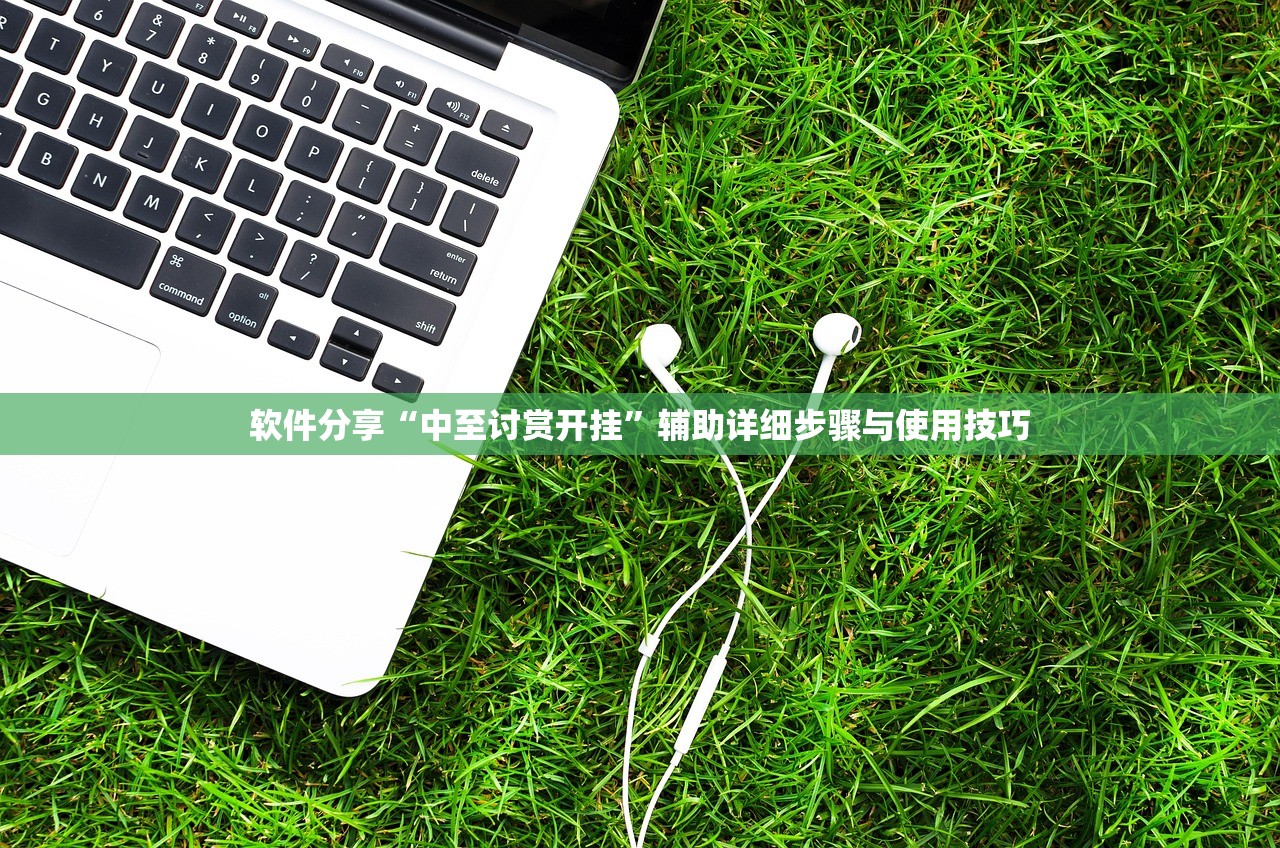 软件分享“中至讨赏开挂”辅助详细步骤与使用技巧