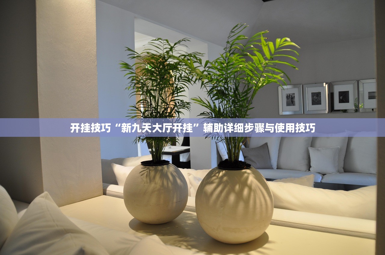 开挂技巧“新九天大厅开挂”辅助详细步骤与使用技巧