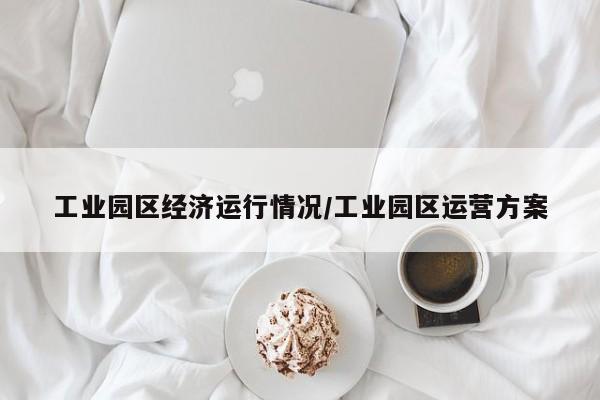 工业园区经济运行情况/工业园区运营方案