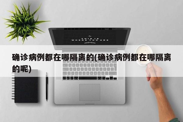 确诊病例都在哪隔离的(确诊病例都在哪隔离的呢)