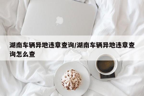 湖南车辆异地违章查询/湖南车辆异地违章查询怎么查