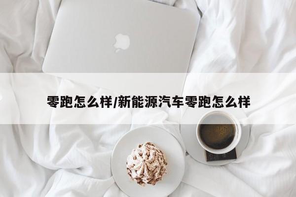 零跑怎么样/新能源汽车零跑怎么样